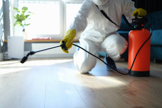 Trusted Trauma Scene Cleanup service in Valley Springs, CA - Four Month Blood Cleanse